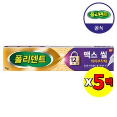 폴리덴트 맥스 씰 의치 부착재 70g x5개, 없음, 상세설명 참조