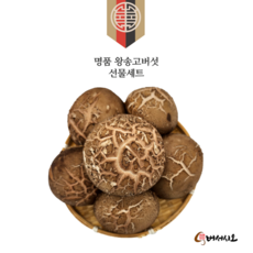 버서시오 명품 왕송고버섯 선물세트/왕송고 송화 송향 버섯 선물세트, 1개