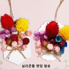 드라이플라워석고