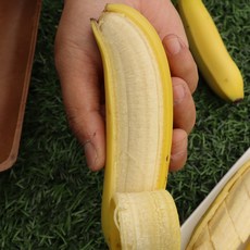  산청 유기농 바나나 1.5kg 2.5kg 쫀득바나나 국산바나나, 1개 