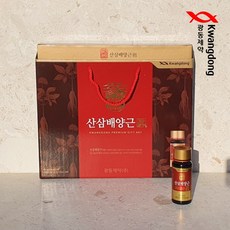 광동 산삼배양근 진액 (진)100ml 12병 1세트(5입) 선물세트, 1.2L, 1박스