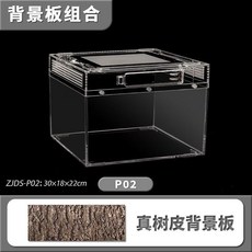  곤충키우기 투명 하우스 케이지 사슴벌레 사마귀 사육통 파충류 장수풍뎅이 관찰통 아크릴, F. P02 배경 플레이트 