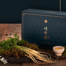 더조은 담양 새싹삼 고급선물세트 30뿌리 13 15cm내외 소, 1개, 상세 설명 참조