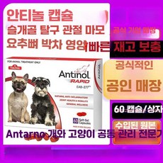 백이 강아지안티놀 관절 반려견 강아지, 뉴질랜드 안티놀 60캡슐 - 강아지안티놀