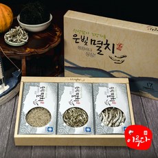 이루다멸치