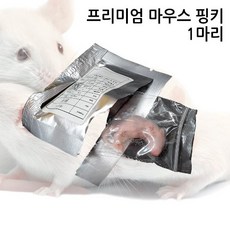 G-FARM 프리미엄 냉동 마우스 핑키 (L) 10마리