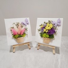 오누즈어린이화분