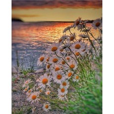 다이아몬드보석