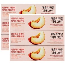 플레시아 피치민트향 치약 120g x 3개입 2세트