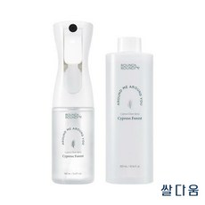 홈케어 소독 편백 클린 스프레이 편백나무숲 160ml + 리필300ml 포함