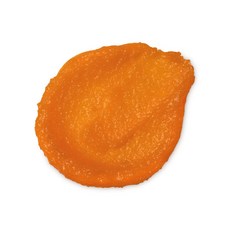 LUSH 러쉬 오렌지 샤워 스크럽 660g Lush Orange Shower Scrub