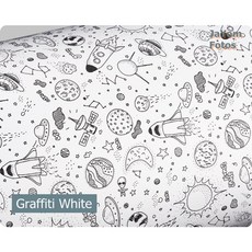 미러리스카메라입문용