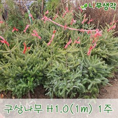 4ba3c79eef7daa347ff52eb240f3a70f333d1103b3035a520153f5f561b5.JPG