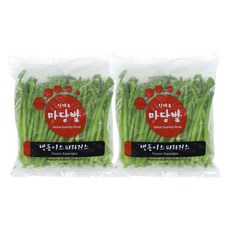 쉽쿡 아스파라거스1kg 1+1