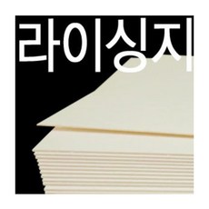 라이싱지 TOP01