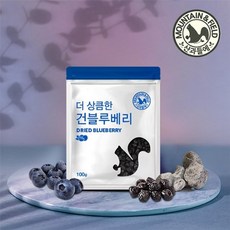 산과들에블루베리