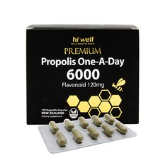 뉴질랜드 하이웰 프리미엄 프로폴리스 원어데이 6000mg 120정 고함량 플라보노이드, 120캡슐 4개월분, 1박스, 120캡슐