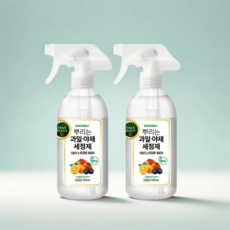 슈가버블 뿌리는 비건인증 과일야채세정제 500mL 1개 + 1개, 1) 세정제500mLx2개, 2개