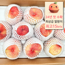 24년햇수확 쫀득달콤 말랑이 복숭아 백도 황도, 1개, 2kg(중과-백도)