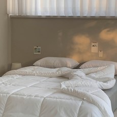 다운필마이크로