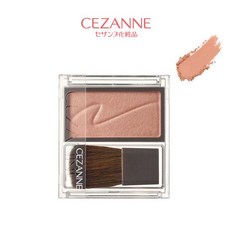 세잔느 치크 브러쉬 02 시나몬 브라운 2.2g