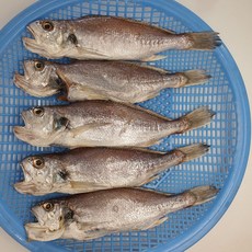 [통영당포상회] 국산 손질 반건조생선 백조기(매운탕소스 증정) 구이 아이들반찬, 4개