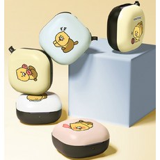 춘식이버즈케이스