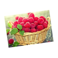 d046a2b9ce558dec40958858d99b2e02214c2c6456ba8282d05afa6c8790.jpg
