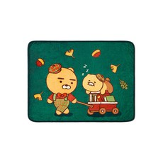 라이언춘식이담요