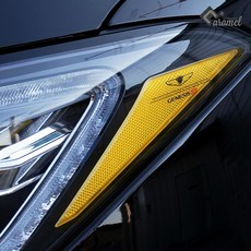 제네시스g80스포츠개조비용