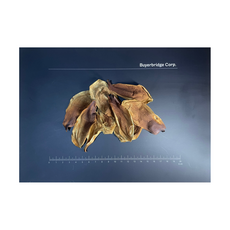 건조목련꽃/말린목련꽃(Magnolia Denudata) 50g, 1개, 1개입