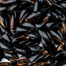 국내산 통영 다듬이 세척 홍합 1-9kg
