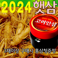 금산인삼아줌마 인삼 (0호)콩난발삼 750g 산지에서 발송 가정용 수삼, 콩난발(0호) 750g, 1개