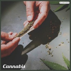 Cannabis 2021 Wall Calendar: Official Cannabis Calendar 2021 Paperback, Independently Published, English, 9798585925641