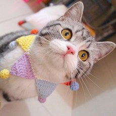 강아지모자손뜨개만들기