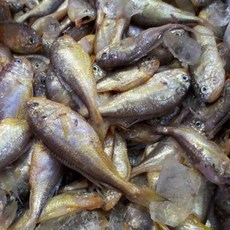 전복마을 생물 황석어(찌개용)2kg