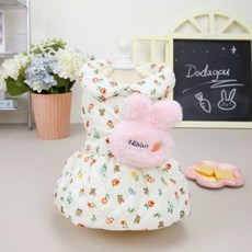화인열곰