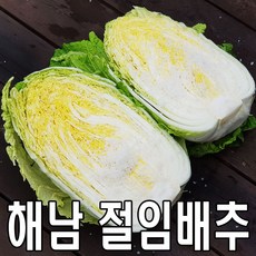 농민장터 땅끝 해풍맞은 해남 절임배추 20kg, 11월 26일 도착★