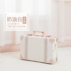 휴대용 레디백 여행가방 작은 케이스 미니 기내용 캐리어