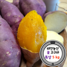 산지직송 해풍가득 태안 안면도 호박고구마/ 꿀고구마, 특상 (100g~290g) - 5kg, 1개