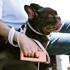  강아지 리드줄 소형견 중형견 멀티 핸즈프리 라이트코랄 