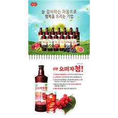 오미자청 오미자 엑기스 진한오지마청 원액 광야식품 오미자청 더운여름 시원하게 마실수있는 오미자청, 2개, 970ml