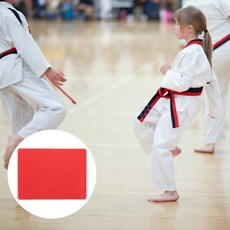 유아태권도격파