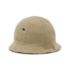 블루독리버시블