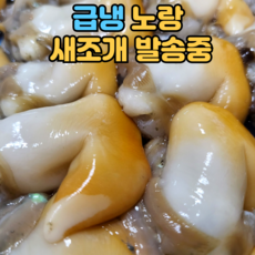 당일손질 자연산 여수 새조개 2kg 실중량 500g 내외