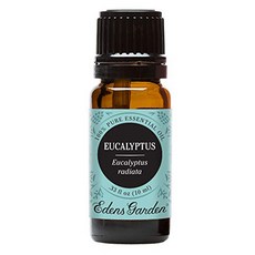 Edens Garden 유칼립투스 라디아타 에센셜 오일 10ml
