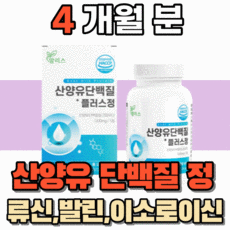 근육성장의과학및실용성접4ㅡㄴ
