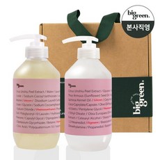 [선물세트]빅그린 임산부 샴푸 500ml+임산부트리트먼트500ml, 1개