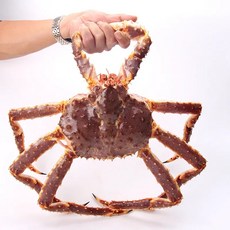 수율 보장 하이바다 킹크랩 레드 블루 브라운 시세 택배 찜, 1개, 자숙 레드킹크랩 4kg