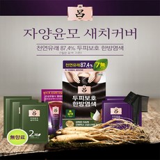 [써니몰] 아모레 (려 신 자양윤모 새치커버 ) 두피보호 한방염색, 1개, 5.0 자연갈색
